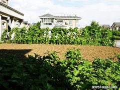 白叟进行健康查抄